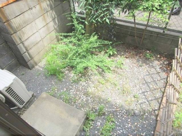 庭