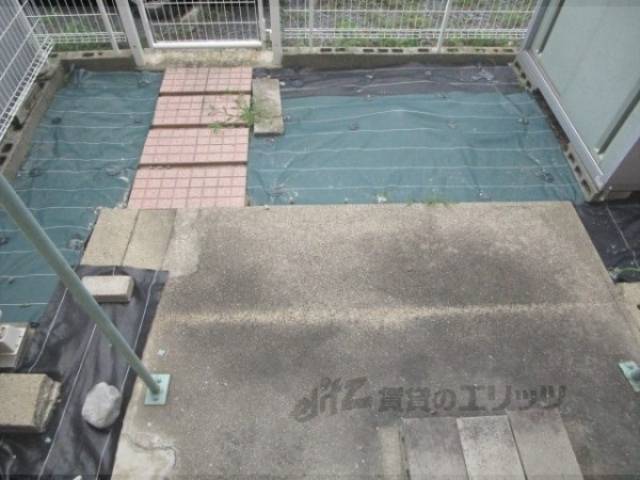 庭