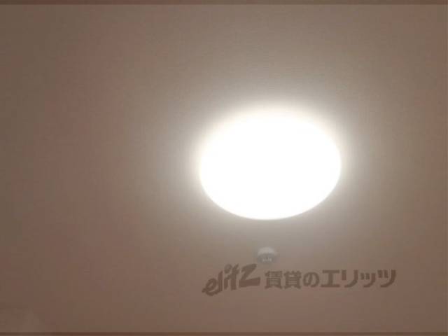 照明