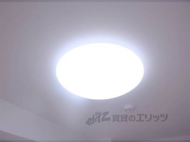 照明