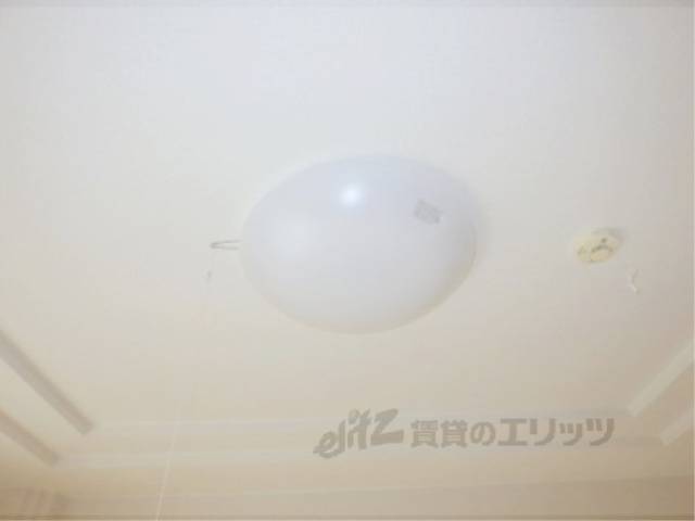 照明