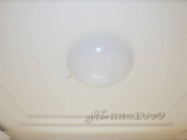 照明