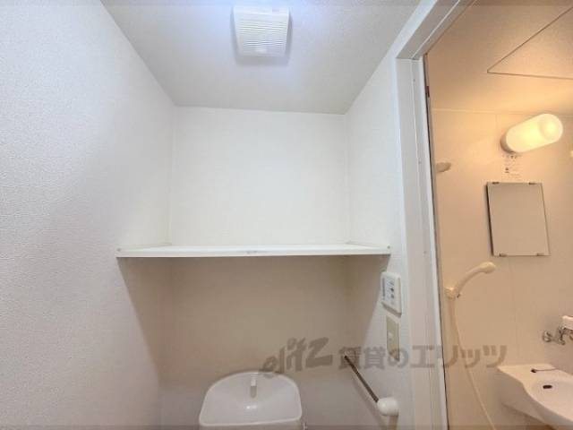 トイレ　トイレットペーパー