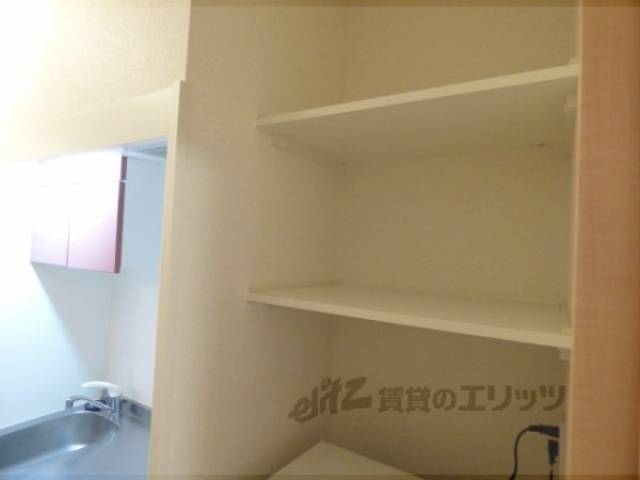 収納　冷蔵庫上部