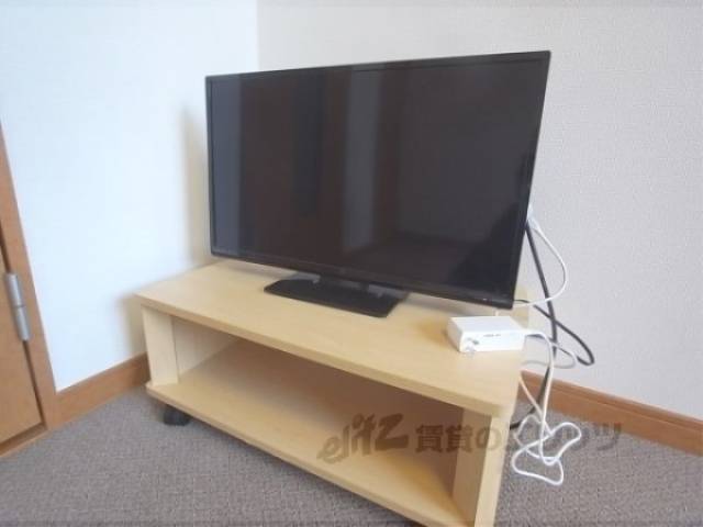 テレビ