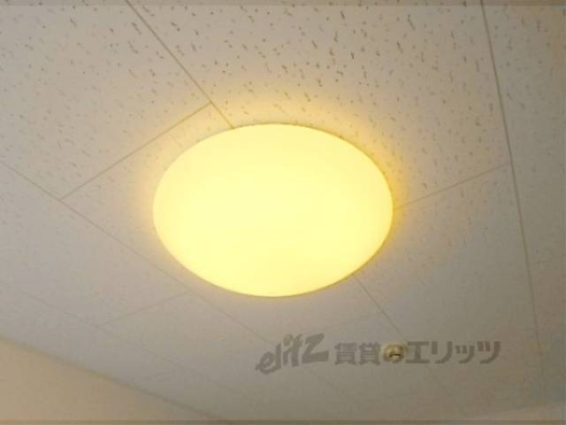 照明