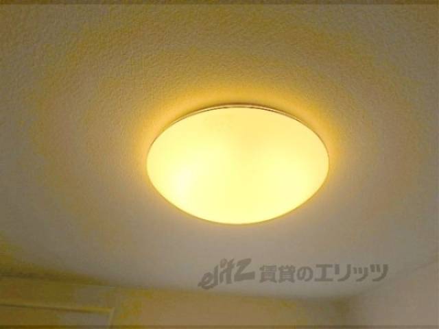 照明