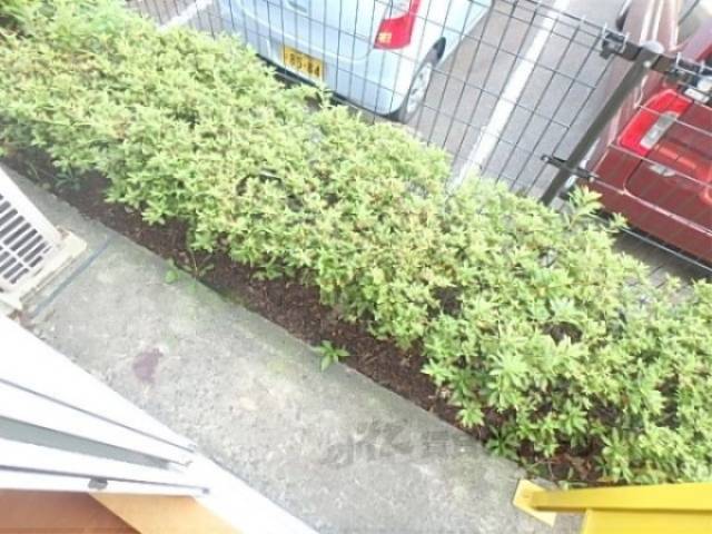 ベランダ