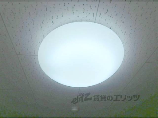 照明