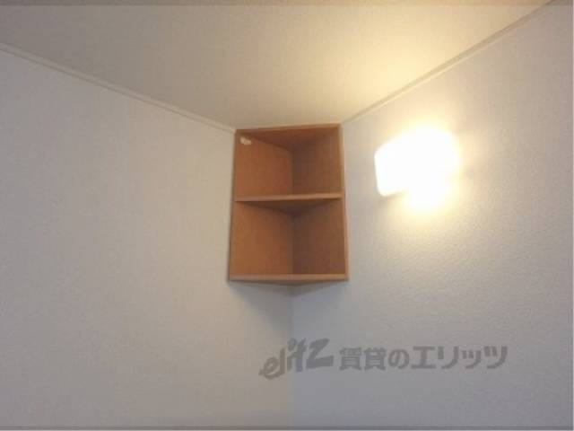 棚