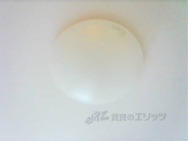 照明