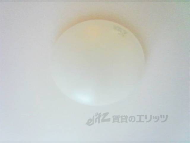 照明