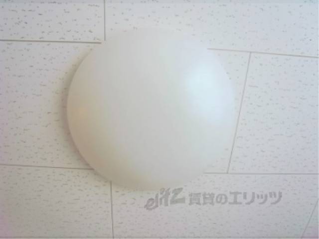 照明