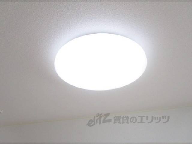 照明