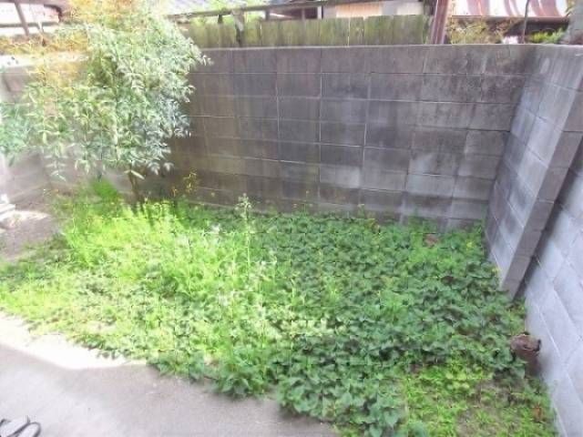 庭