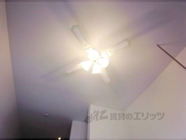 照明