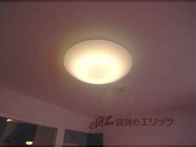 照明