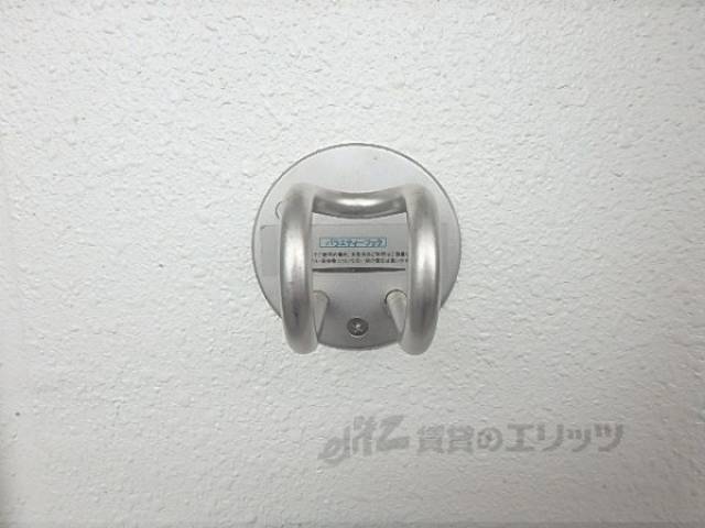バラエティーフック