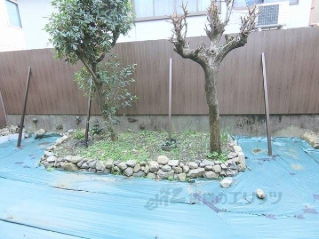 庭
