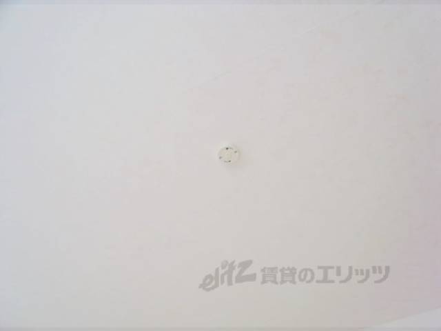 照明　お好きな照明が設置できます。