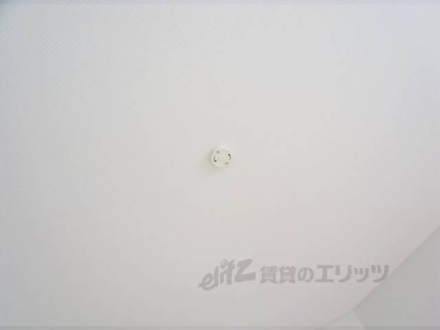 照明