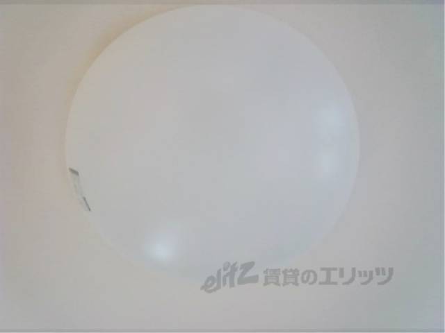 照明