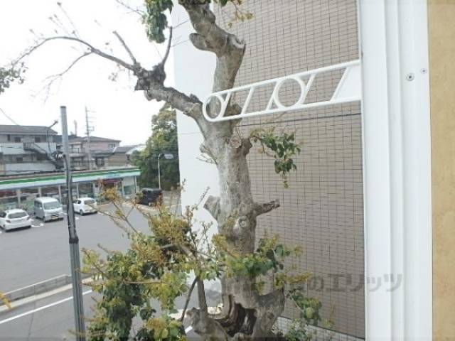 物干し