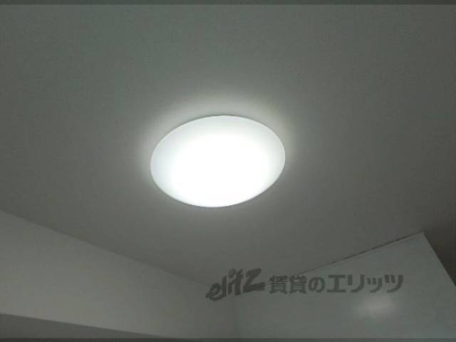 照明