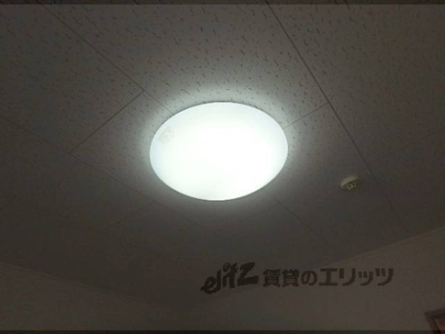 照明