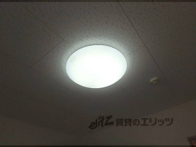 照明