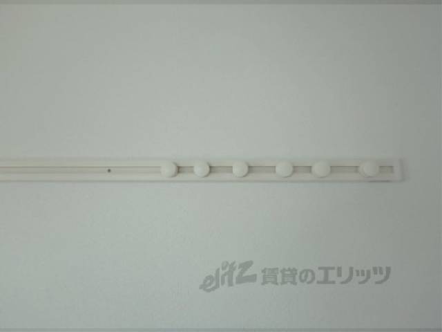ウォールフック