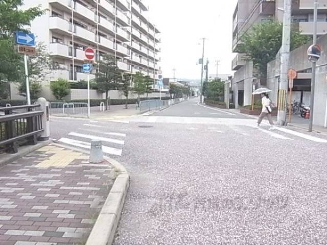 周辺道路