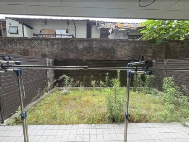 庭