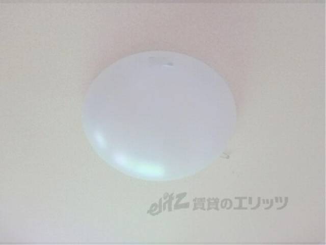 照明