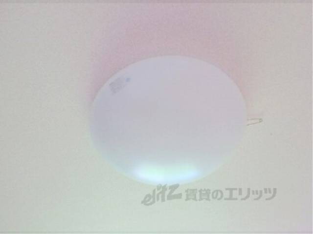 照明