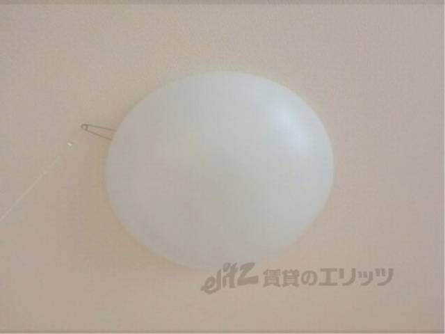 照明