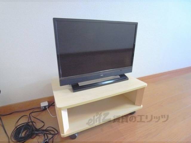 テレビ