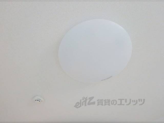 照明