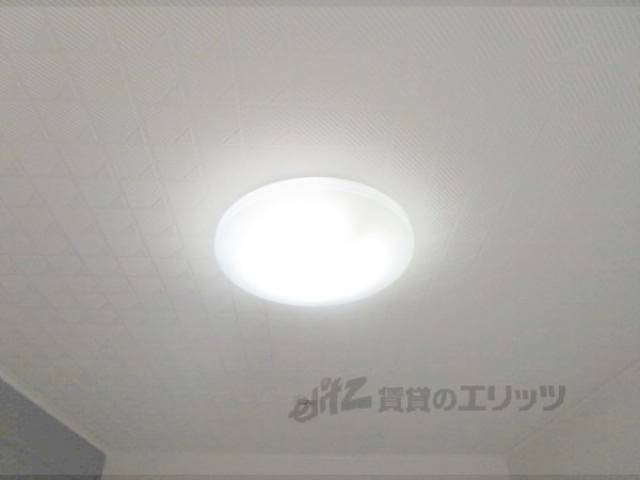 照明