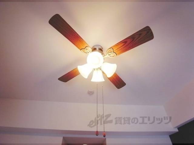 照明