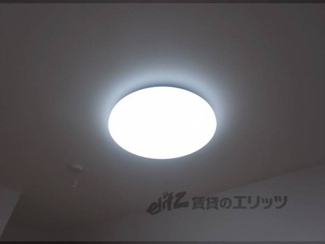 照明