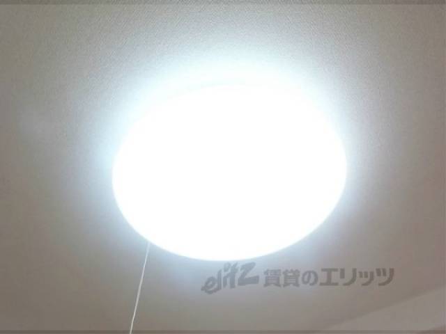 照明