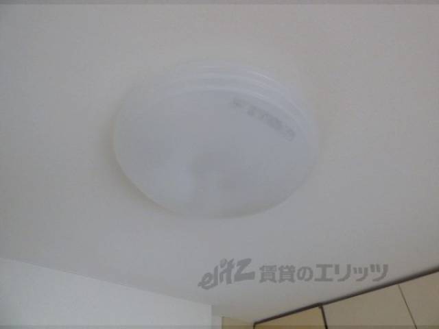 照明
