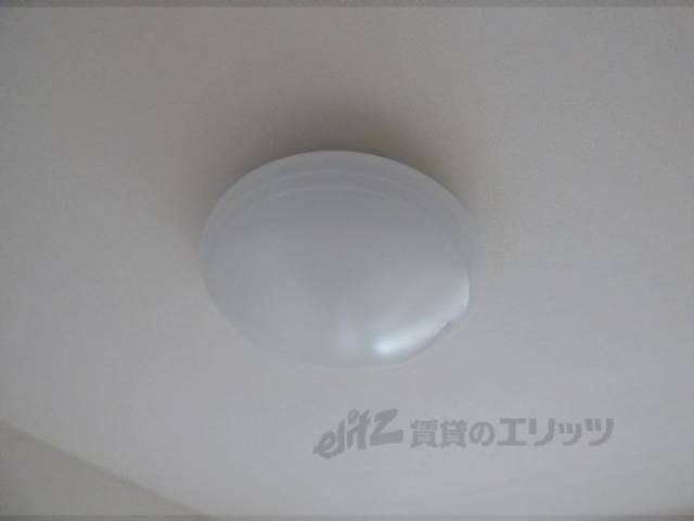 照明