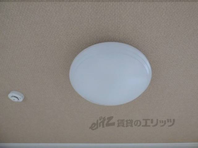 照明
