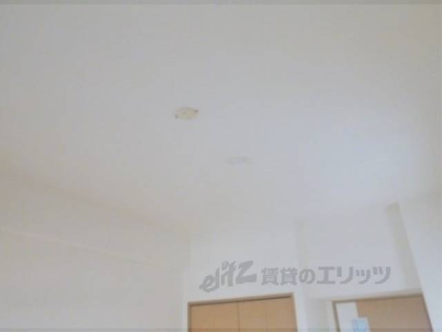 照明