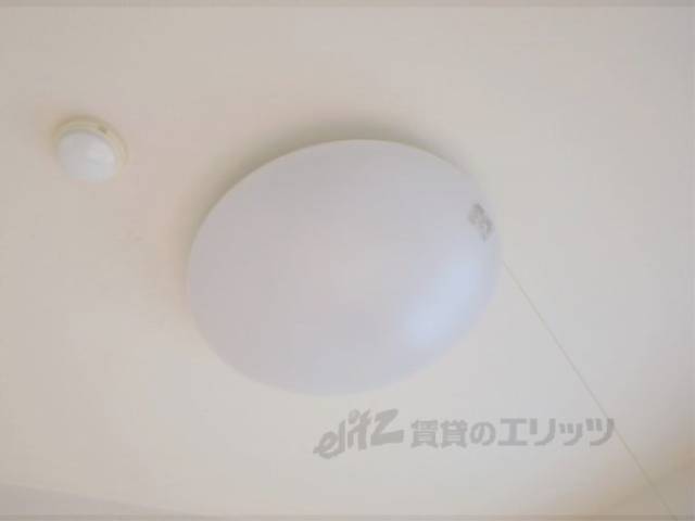 照明