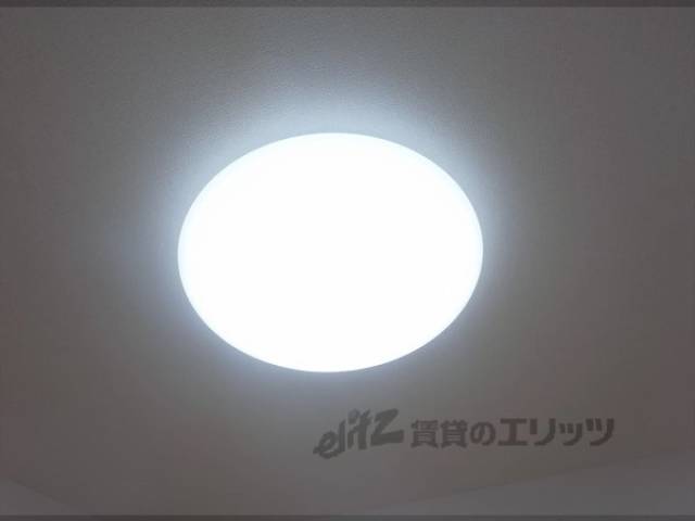 照明
