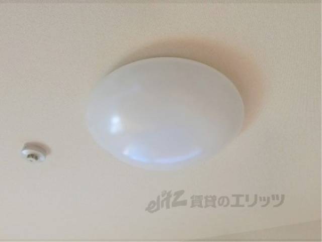 照明