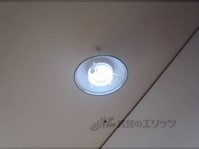 照明